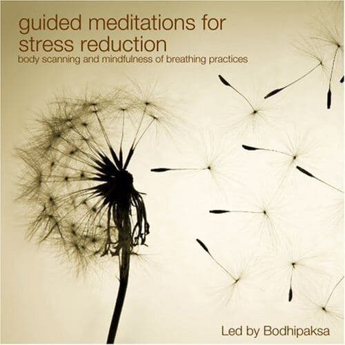 Guided Meditations for Stress Reduction CD Pre-Owned