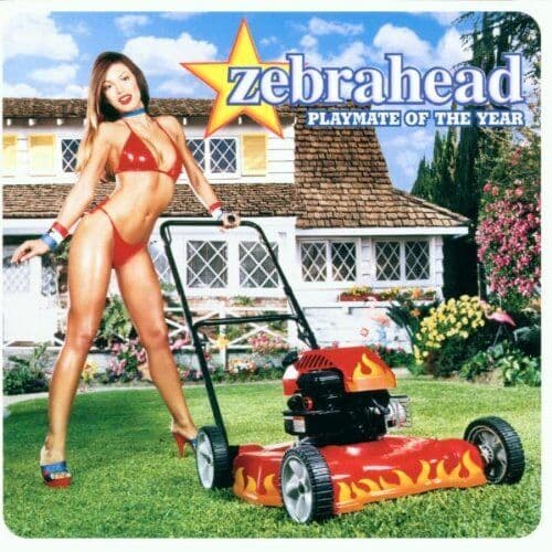 Zebrahead : Playmate of the Year CD Pre-Owned