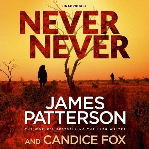 Holmes, Federay : Never Never: (Harriet Blue 1) (Detective CD Pre-Owned