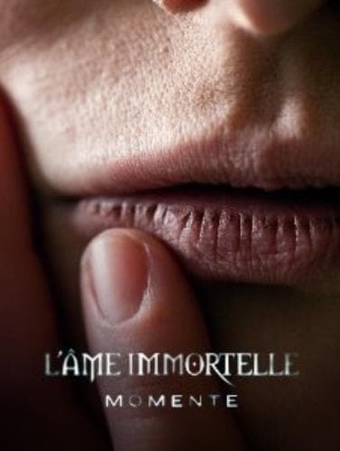 LAme Immortelle : Momente -Spec/Digi- CD Pre-Owned