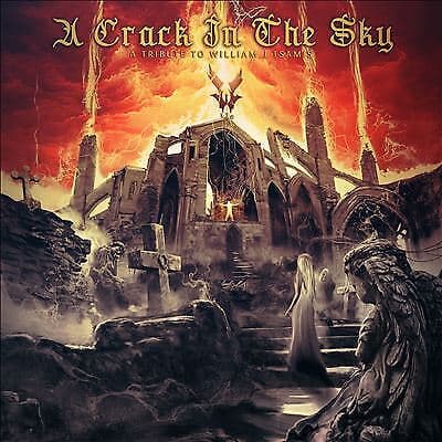 Various Artists : A Crack In The Sky - A Tribute To Willia CD Pre-Owned