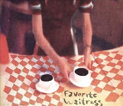 The Felice Brothers : Favorite Waitress CD (2014) Pre-Owned