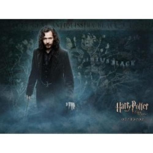 Unknown Artist : DVD Harry Potter und der Orden des Ph?ni CD Pre-Owned