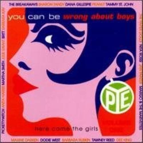 Various Artists : You Can Be Wrong About Boys 1 CD Pre-Owned