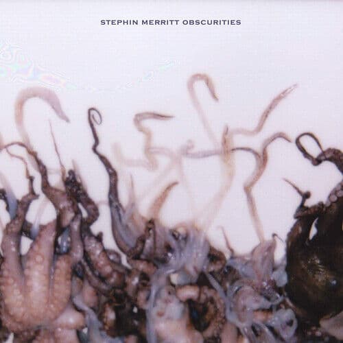 Stephin Merritt : Obscurities CD (2019) Pre-Owned