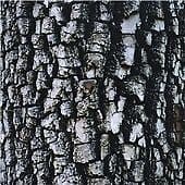 Ativin : Interiors CD Pre-Owned