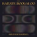 Miniatyrbild 1 av 2: Karate Boogaloo - Hold Your Horses (CD)