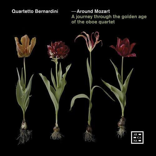 Wolfgang Amadeus Mozart : Quartetto Bernardini: Around Mozart: A Journey