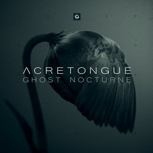 Ghost Nocturne by Acretongue (CD, 2019)
