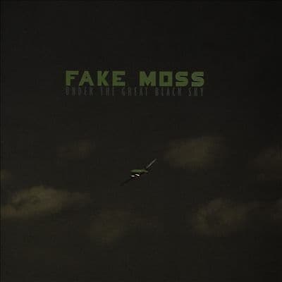 Fake Moss : Under the Great Black Sky CD (2016)
