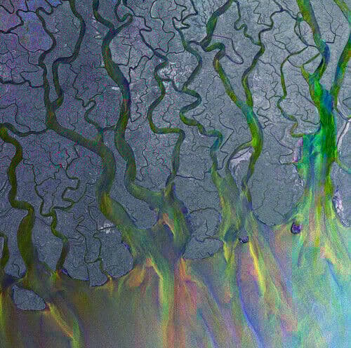 Alt-J : An Awesome Wave CD (2012)