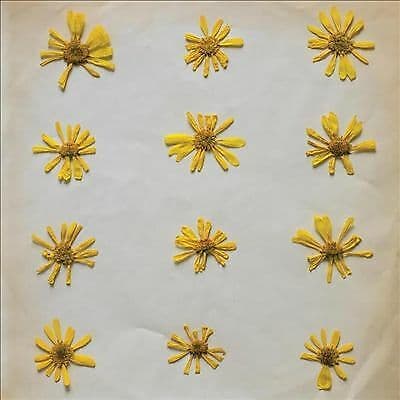 The Molochs : Flowers in the Spring CD (2018)