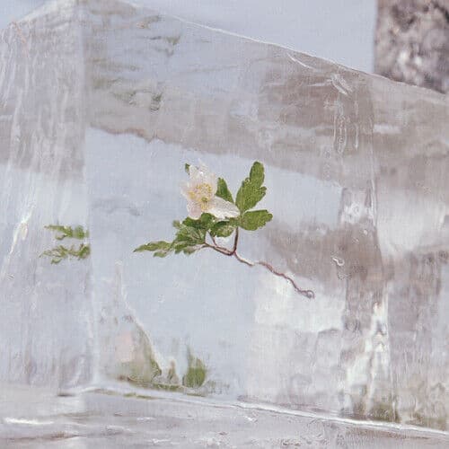 Efterklang : Wildflowers CD (2021)