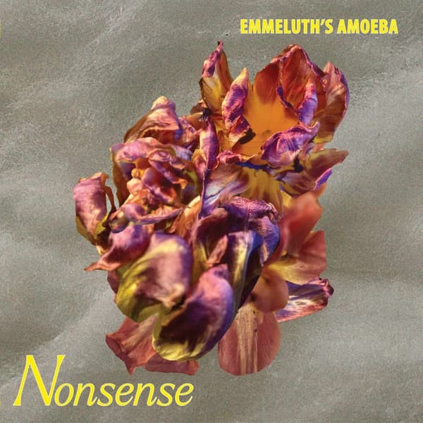 Emmeluth's Amoeba: Nonsense (CD)