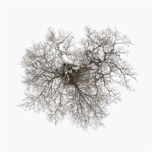 John Metcalfe : Tree CD (2023)
