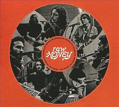Drugdealer : Raw Honey CD (2019)