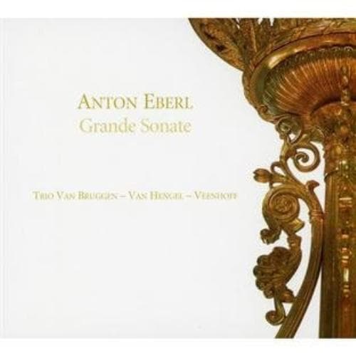 Grande Sonate: Chamber Music (Trio Van Bruggen) CD (2006)