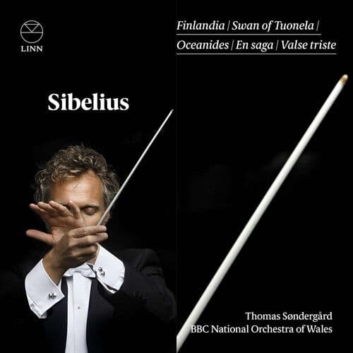 Jean Sibelius : Sibelius: Finlandia/Swan of Tuonela/Oceanides/En Saga/… CD