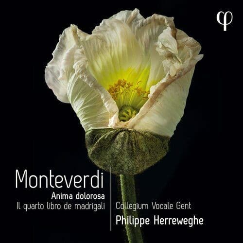 Claudio Monteverdi : Monteverdi: Anima Dolorosa: Il Quarto Libro De Madrigali