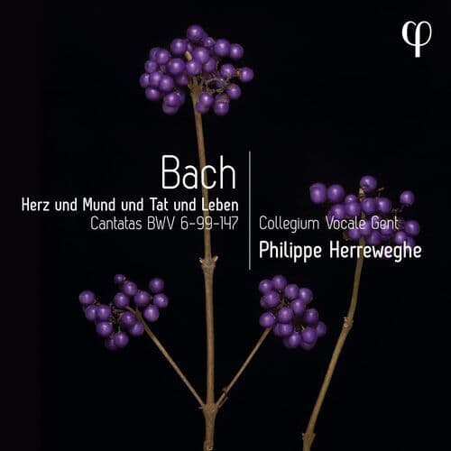 Johann Sebastian Bach : Bach: Herz Und Mund Und Tat Und Leben: Cantatas BWV