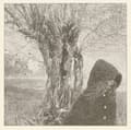 Miniatyrbild 2 av 2: Lankum - Between The Earth And Sky (CD)
