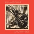 Miniatyrbild 1 av 2: Lamontagne Ray - Long Way Home (CD)