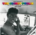 Pikkukuva 2 / 2: Various Artists - Jon Savage's The Secret Public (How (CD)