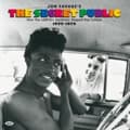 Pikkukuva 1 / 2: Various Artists - Jon Savage's The Secret Public (How (CD)