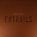 Pikkukuva 2 / 2: Tomas Järmyr - Entrails (CD)