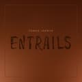 Pikkukuva 1 / 2: Tomas Järmyr - Entrails (CD)