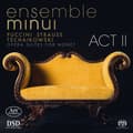 Pikkukuva 1 / 2: Giacomo Puccini Richard Strauss P - Opera Suites For Nonet Vol. 2 - Wor