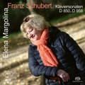 Miniatyrbillede 1 af 2: Franz Schubert - Franz Schubert: Piano Sonatas D 850