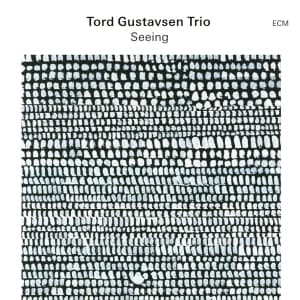 Tord Gustavsen Trio - Seeing (CD)