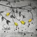 Miniatyrbild 1 av 2: Pettersson & Fredriksson - Sotali (CD)