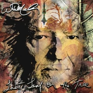 Nelson Willie - Last Leaf On The Tree (CD)