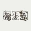 Pikkukuva 1 / 2: Sia - Colour The Small One (CD)