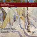 Pikkukuva 2 / 2: Thomas Albertus Irnberger Royal Ph - Sibelius: Violin Concerto Pieces F