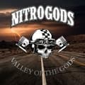 Miniatyrbillede 1 af 2: Nitrogods - Valley Of The Gods (CD)