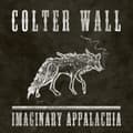 Miniatyrbild 2 av 2: Colter Wall - Imaginary Appalachia (CD)