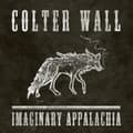 Miniatyrbild 1 av 2: Colter Wall - Imaginary Appalachia (CD)