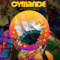 Miniatyrbillede 1 af 2: Cymande - Renascence (CD)