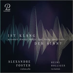 Alexandre Foster Heinz Holliger - Ist Klang Der Sinn? - Contemporary (CD)