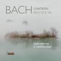 Pikkukuva 1 / 2: Alex Potter Il Gardellino - J. S. Bach: Cantatas Bwv 35 & 169/T (CD)