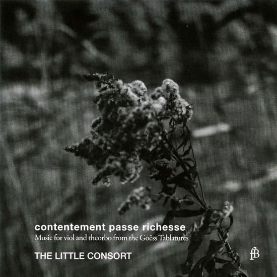 The Little Consort - Contentement Passe Richesse - Music (CD)