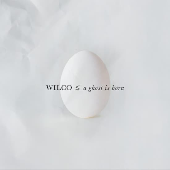 Wilco - A Ghost Is Born (20th Anniversary expanded 2CD edition) (CD)