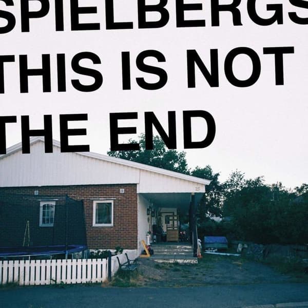 Internationell variant cd This Is Not the End