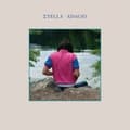Miniatyrbild 2 av 2: Stella - Adagio (CD)