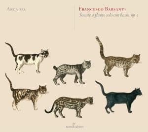 Barsanti Francesco - Sonate A Flauto Solo Con Basso, Op. (CD)