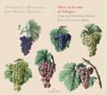 Pikkukuva 2 / 2: J M Moreno La Romanesca - Music In The Time Of Velazquez (CD)