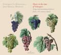 Pikkukuva 1 / 2: J M Moreno La Romanesca - Music In The Time Of Velazquez (CD)